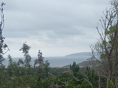Smallholding  For Sale in Wilderness, Wilderness